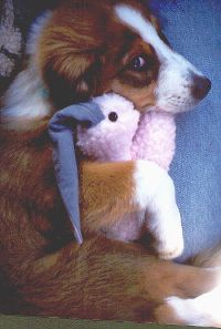 Amber with her bunny