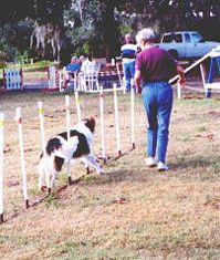 Marie and Bogey