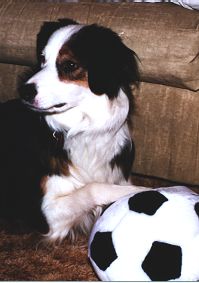 Jessey with her soccer ball