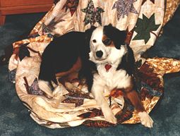 Jessey and the quilt