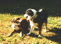 Kelley and Jessey playing